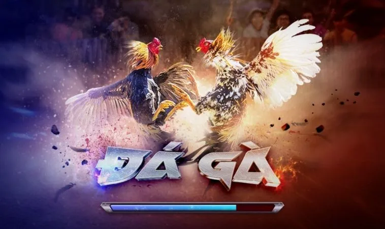 Đá Gà 3D Tại 88VV