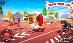 Đua Chó Tại 88VV