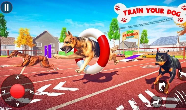 Bí Kíp Chơi Game Nhanh Đua Chó Tại 88VV Thắng Lớn Trong Tích Tắc 1 Đua Chó Tại 88VV